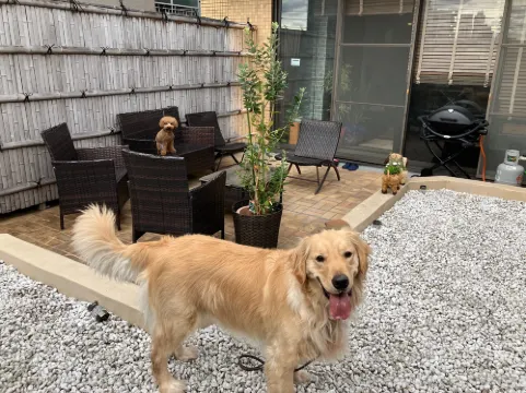 Residence Ferie Nara Station