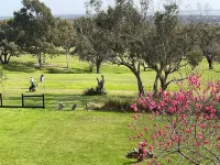 Beaches / Family Getaway / Amazing views / Golf / Wineries / Hot springs.