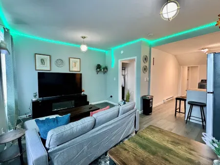 Beautiful Downtown Apartment