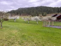 Charming "Cherry House" - 2-Star