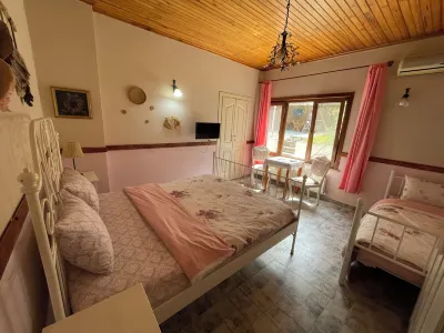 Büyükada Elisa Butik Otel Büyükada Hesed Leavraam Sinagogu yakınındaki oteller