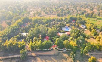 Bundela Bandhavgarh by Octave