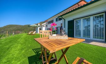 Central Suites Arouca