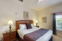 디즈니 지역 지상층 무료 주차장