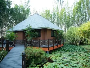 Soul Spring Sanctuary Cuernavaca
