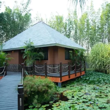 Soul Spring Sanctuary Cuernavaca