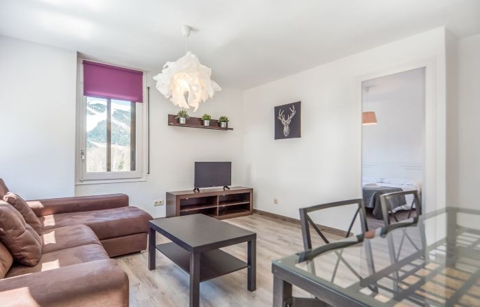 Apartaments Riu d'Incles