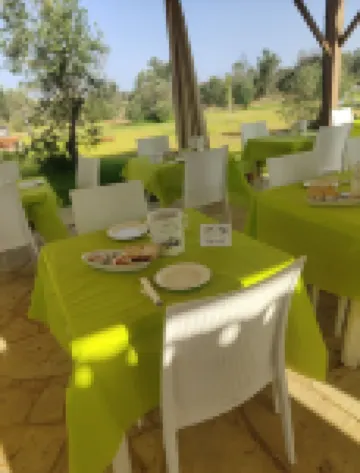 디모레 델 로세토