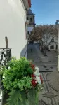 Cafofos da Zeta