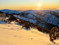 Snowed Inn Apartment