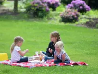 Villa in Netherlands with Sauna & Comfort