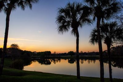 ホテル周辺 ハイアット リージェンシー グランド サイプレス リゾートの写真