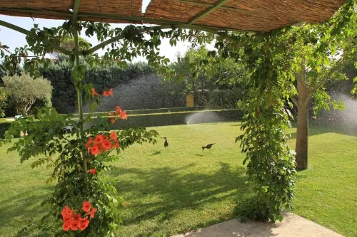 House with terrace garden of 1000m2 - Swimming pool - Downtown Orange - 2 people