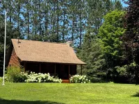Cozy Harbor Springs cabin meticulously maintained on 4 acres.