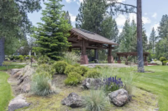 Peaceful in the Parks