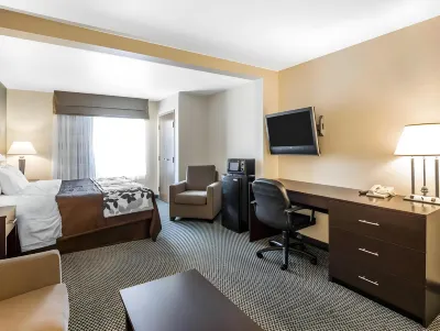 Sleep Inn & Suites Port Charlotte-Punta Gorda Hotel dekat Bandara Punta Gorda