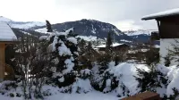 apartment/ flat - MEGEVE - 2 ดาว