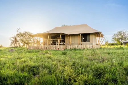 Malaika Luxury Camp Seronera Serengeti Отели в г. Серенгети
