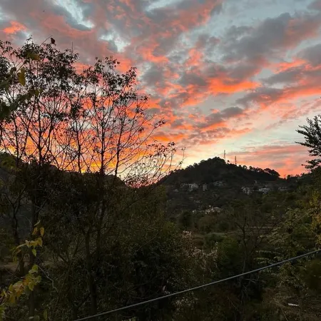 SUNS Cottage Kasauli