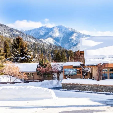 Flying Saddle Resort and Steak House Hotels in Alpine