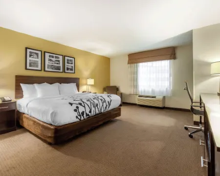 Sleep Inn & Suites Fargo Medical Center Hotels in Cass County
