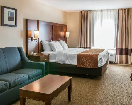 Comfort Suites Hotels in Wixom