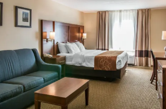 Comfort Suites Hotels in Oakland County