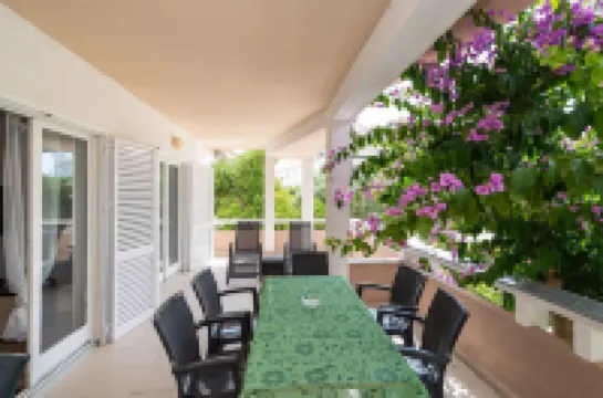 Cozy Apartment Branka with Nice Garden 6