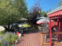 Billie's Backpackers Hostel Hôtels à : College