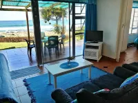 Southern Comfort - Starfish