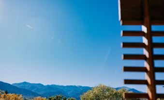 Scp Colorado Springs Hotel
