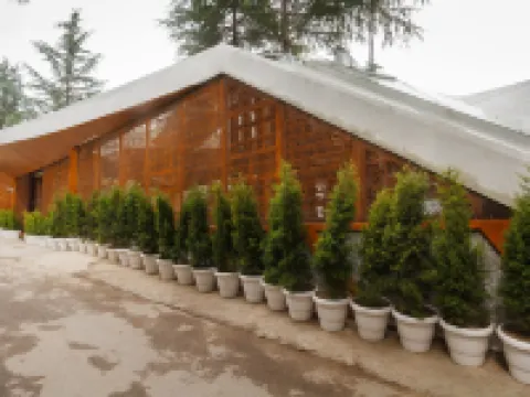 Tree of Life Eila Art Hotel Hotels in Kullu District