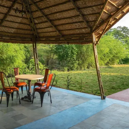Red Earth Tadoba