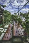 House of My Eternal Love - Kulai Homestay Hotels in Kulai