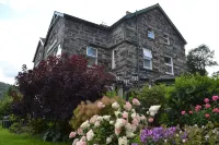 Coed-y-Fron - chambre d’hôtes