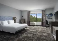 Hampton Inn & Suites Dallas-DFW Arpt W-SH 183 Hurst Hotels in Hurst