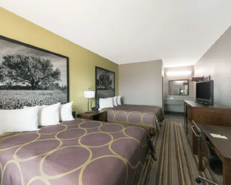 Super 8 by Wyndham Colorado City Hotels in Mitchell County