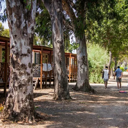 New Camping le Tamerici