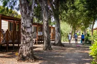 New Camping le Tamerici - Parkering