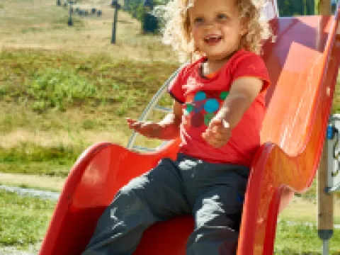 Wander Und Aktiv Hotel Rösslwirt Hotels in Lam