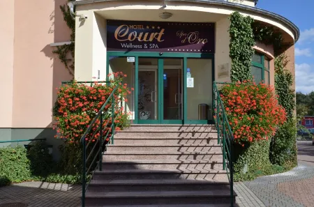 Hotel Court Wellness&Spa Отели в г. Кендзежин-Козле