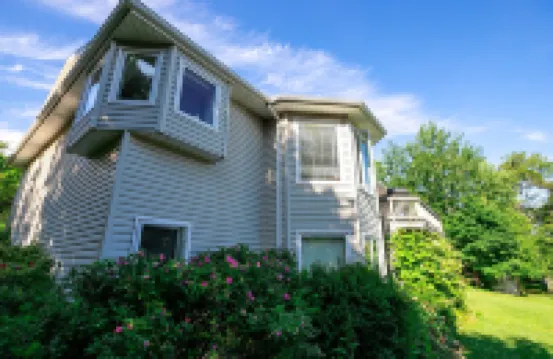 สวนของลิลลี่