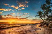Palm Beach Singer Island Resort & Spa Luxury Suites - Beach