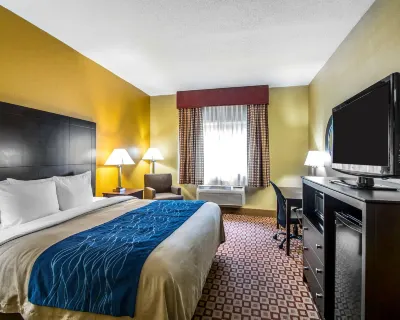 Quality Inn Plant City - Lakeland Hotels near Hibbett Sports