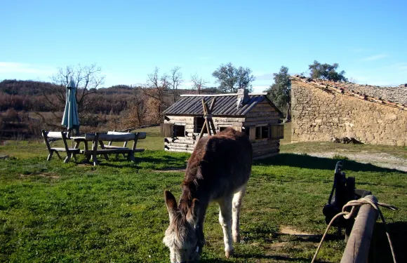 馬西亞羅維拉鄉村別墅