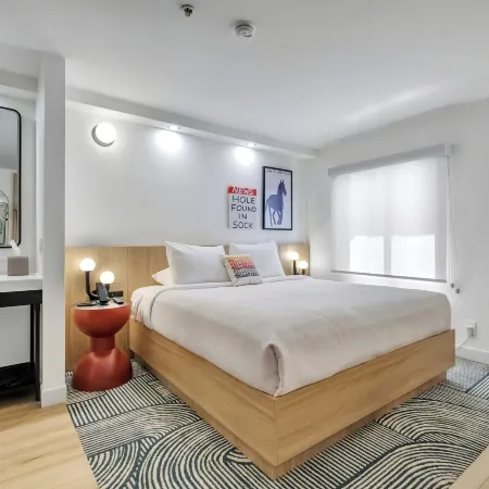 Bob Hotels Tallahassee - Boutique on Budget