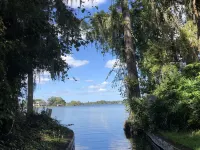 Park Plaza Hotel Orlando - Winter Park Hotels near Central Park