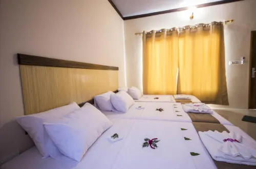 Ari Heaven Thoddoo Maldives - Airport Shuttle