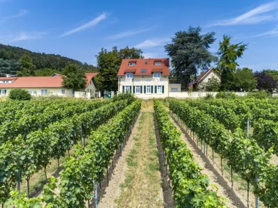 Hotel Annaberg Hotels in Eisenberg