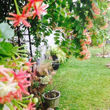 New Manik Homestay